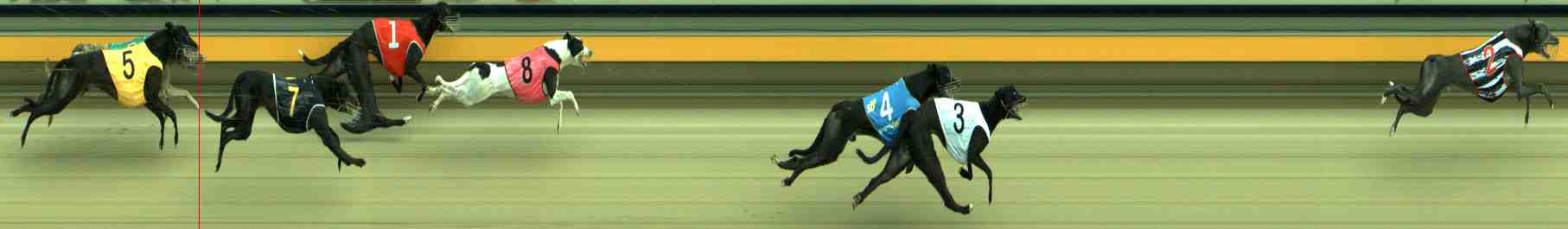 Photo finish for Sale Race 8