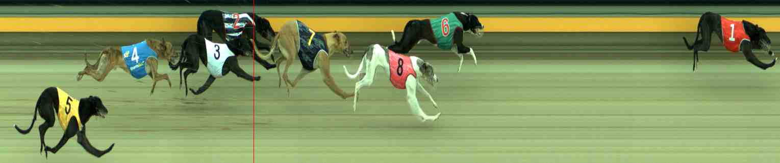 Photo finish for Sale Race 9