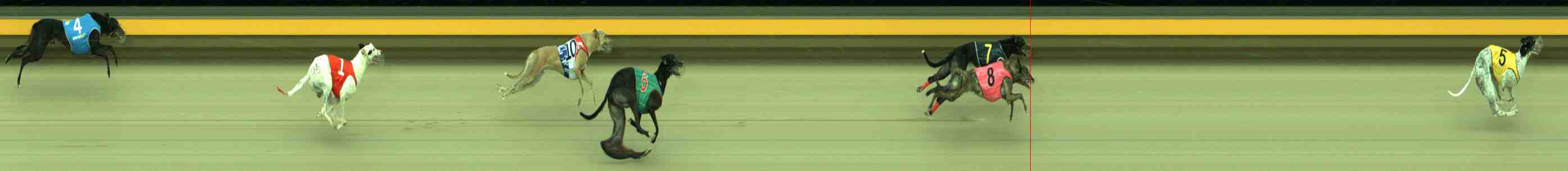 Photo finish for Sale Race 10