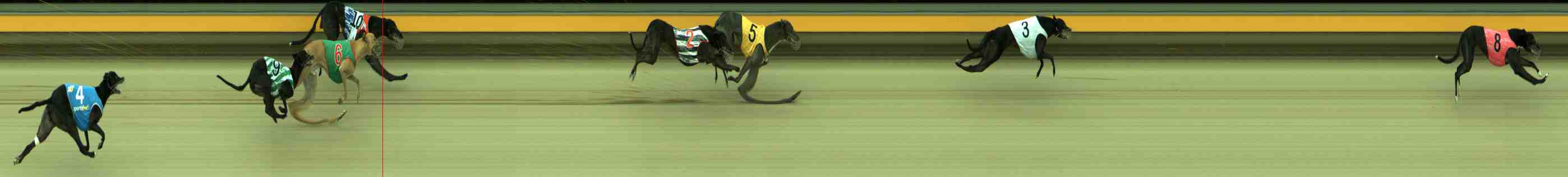 Photo finish for Sale Race 11