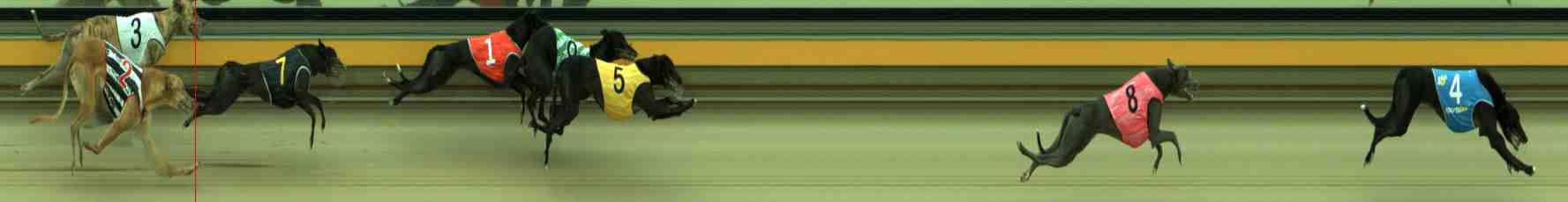 Photo finish for Sale Race 12