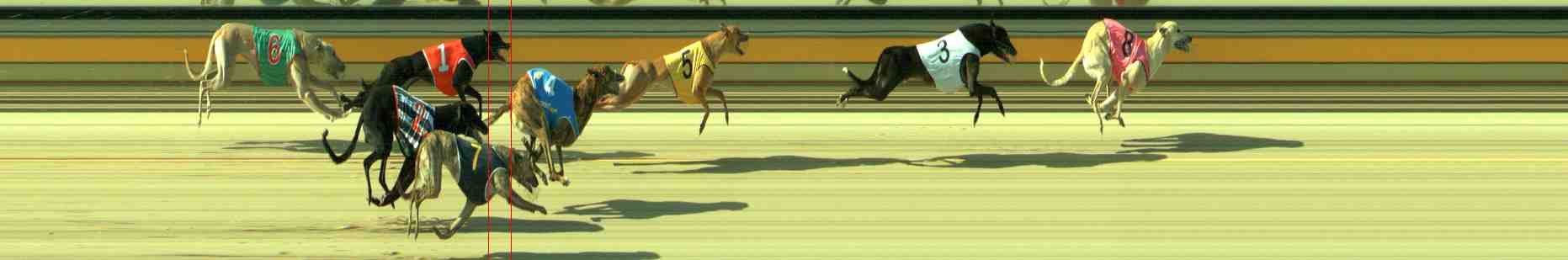 Race result finish photo