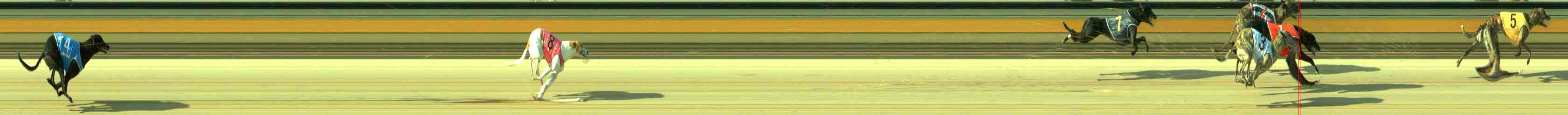 Photo finish for Sale Race 2