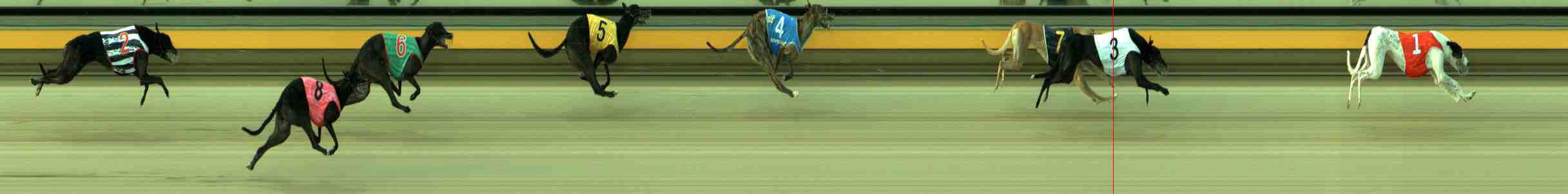 Photo finish for Sale Race 4