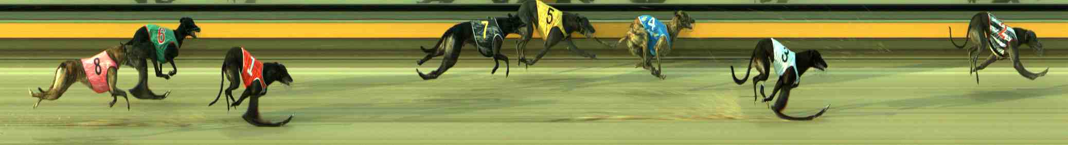 Photo finish for Sale Race 5