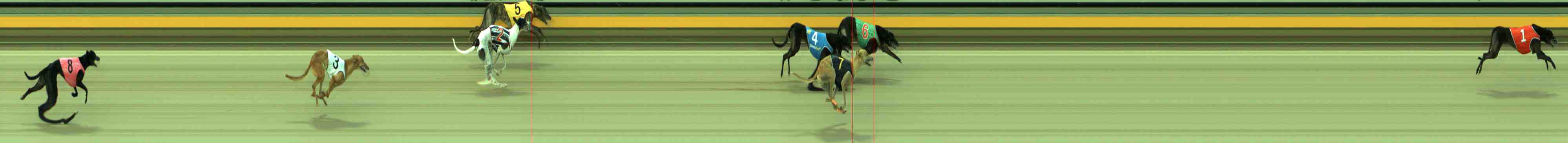 Photo finish for Sale Race 6