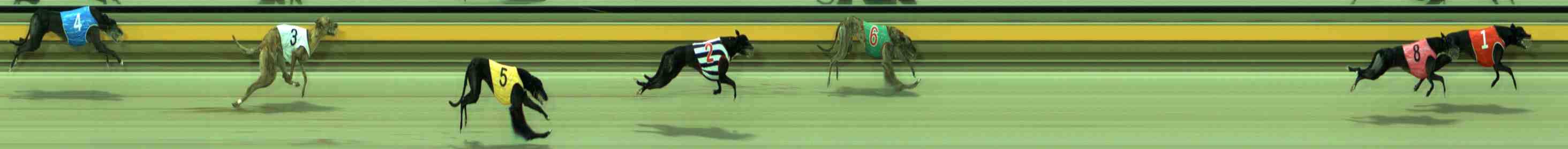 Photo finish for Sale Race 7