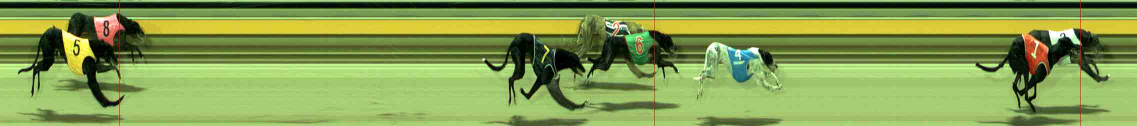 Photo finish for Sale Race 8