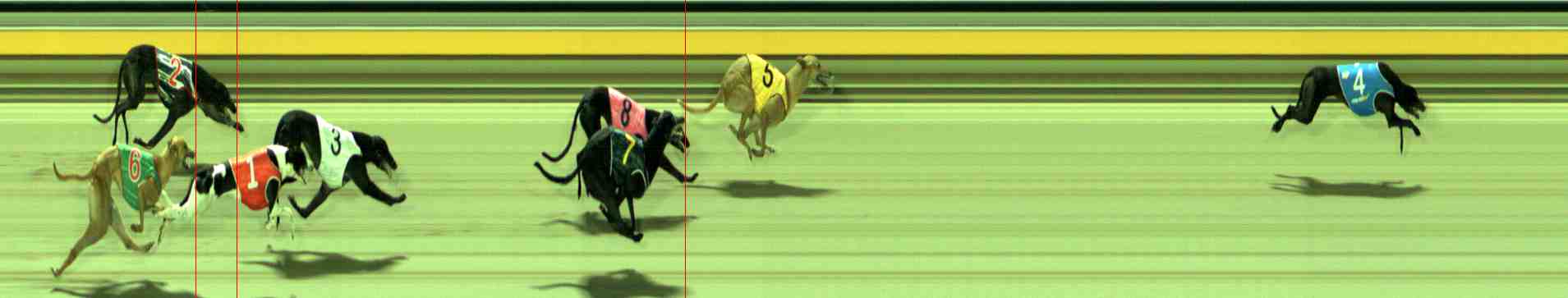 Photo finish for Sale Race 9