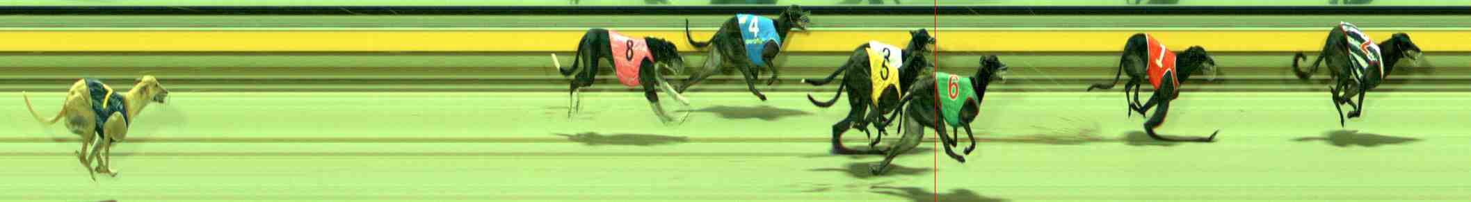 Photo finish for Sale Race 10