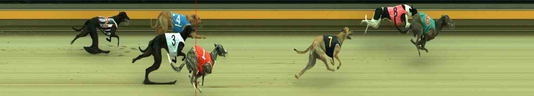 Race result finish photo