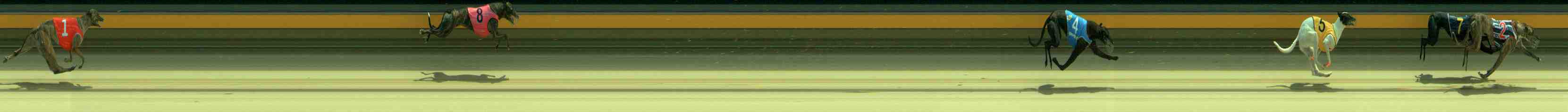 Photo finish for Sale Race 2