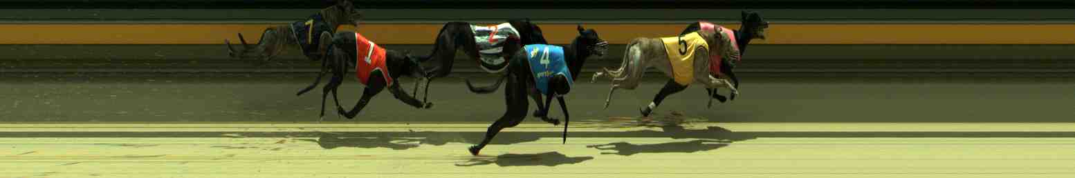Photo finish for Sale Race 3