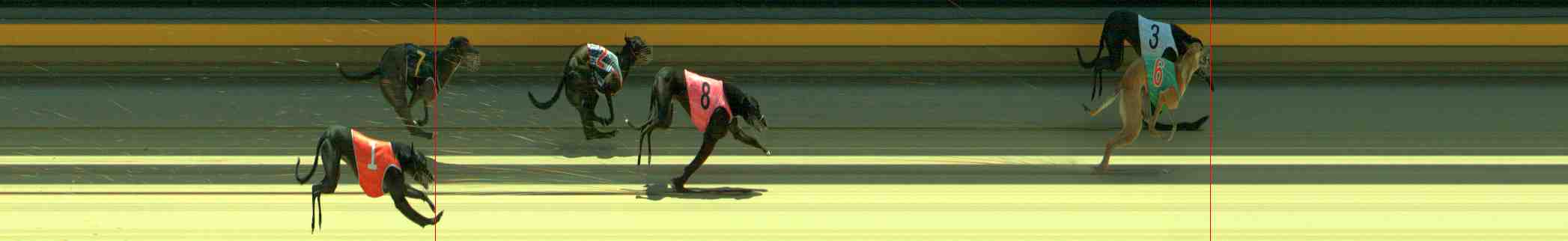 Photo finish for Sale Race 4