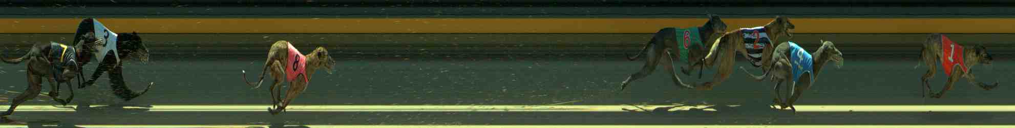 Photo finish for Sale Race 6
