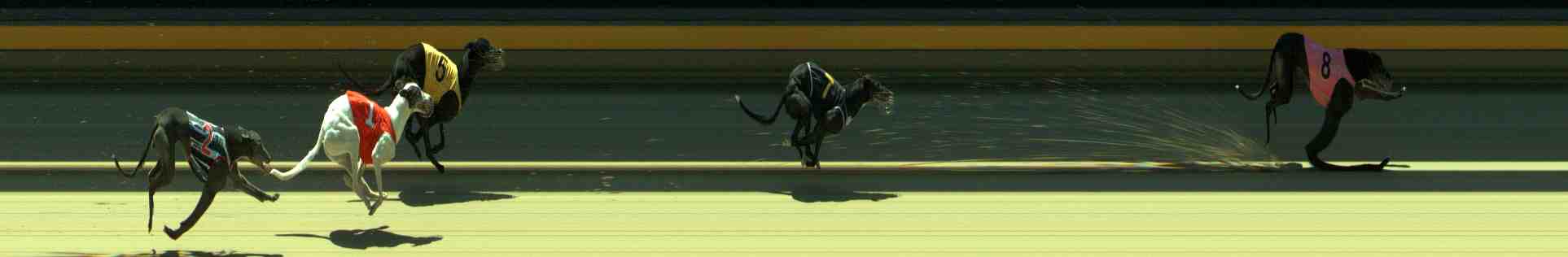 Photo finish for Sale Race 7