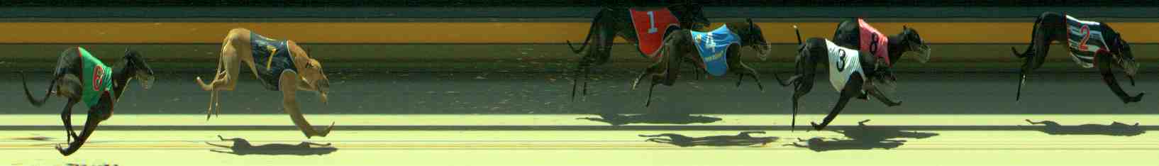 Photo finish for Sale Race 8