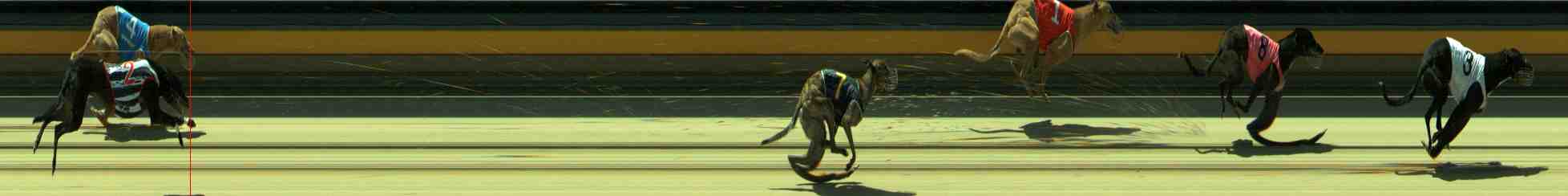 Photo finish for Sale Race 9