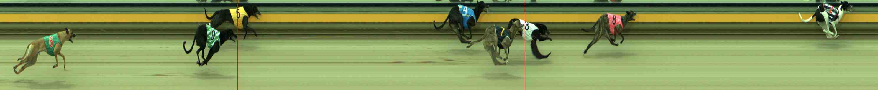 Race result finish photo