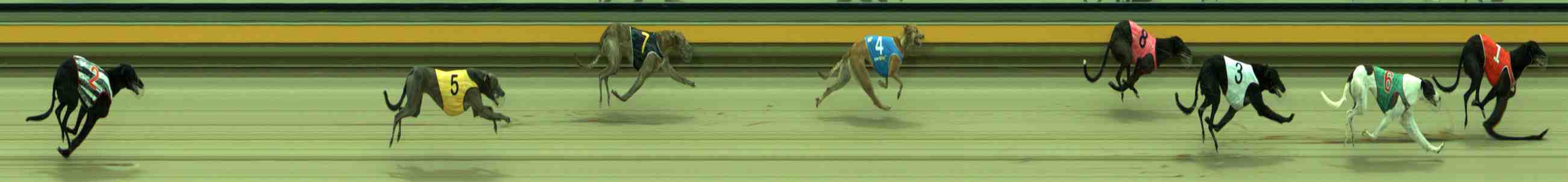 Photo finish for Sale Race 2