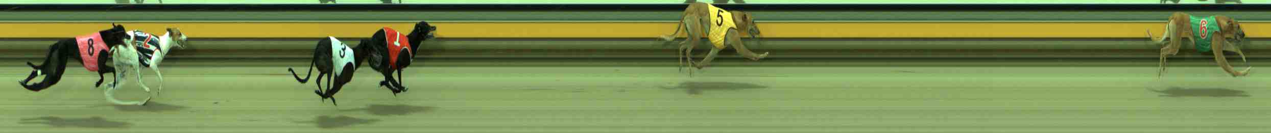 Photo finish for Sale Race 3