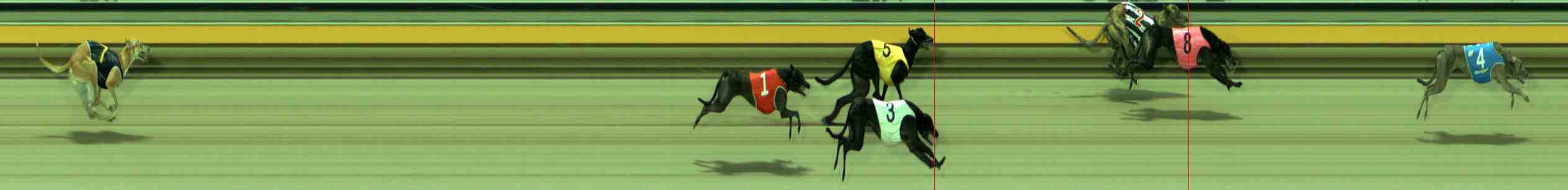 Photo finish for Sale Race 5