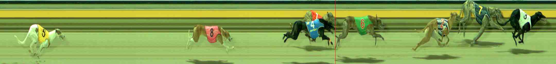 Photo finish for Sale Race 7