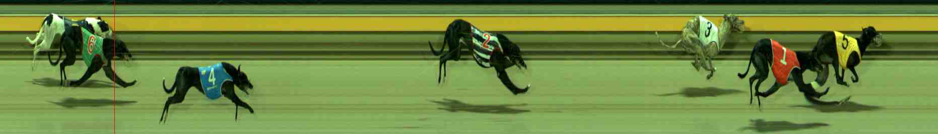 Photo finish for Sale Race 8