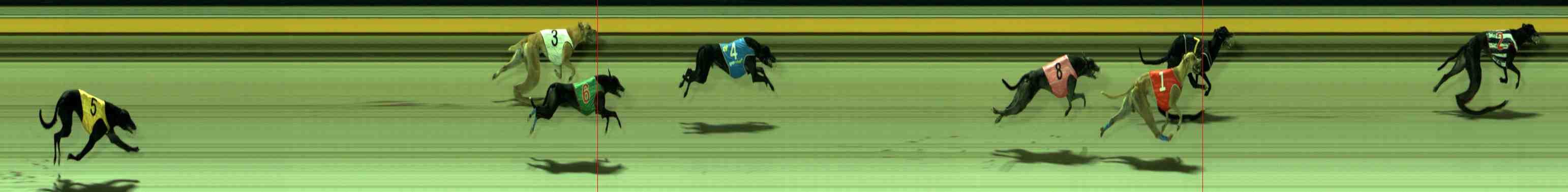 Photo finish for Sale Race 9