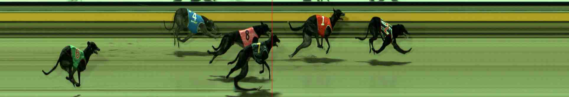Photo finish for Sale Race 10