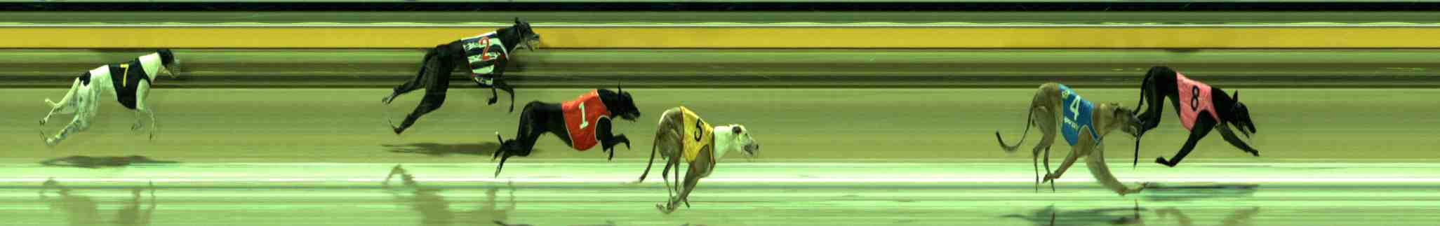 Photo finish for Sale Race 11