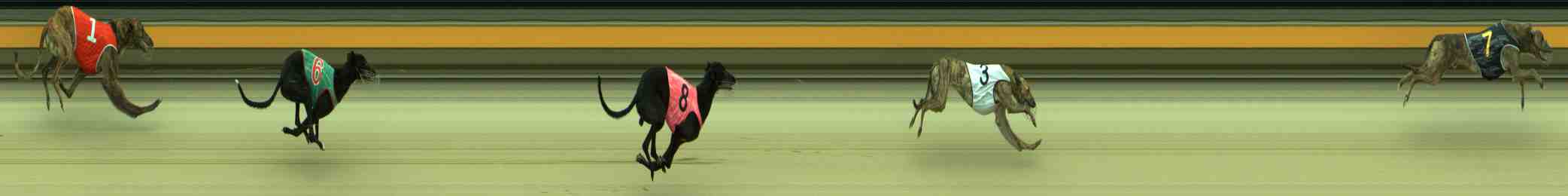 Photo finish for Sale Race 1