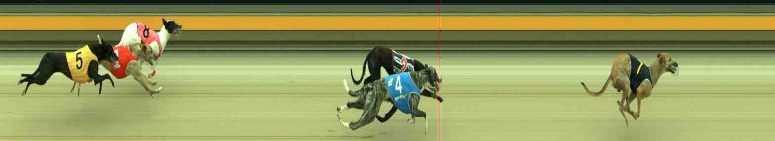 Photo finish for Sale Race 2