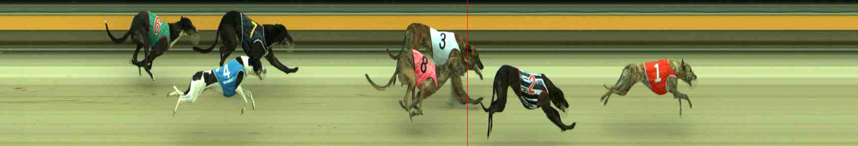 Photo finish for Sale Race 3