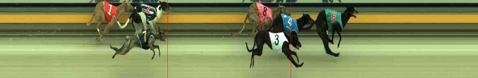 Photo finish for Sale Race 4