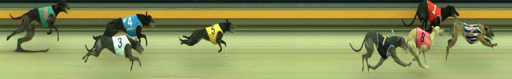Photo finish for Sale Race 5