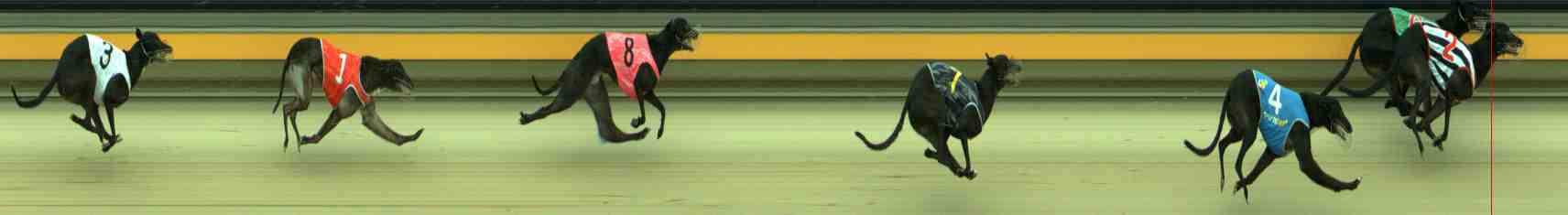 Photo finish for Sale Race 6