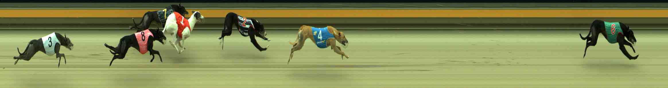 Photo finish for Sale Race 7