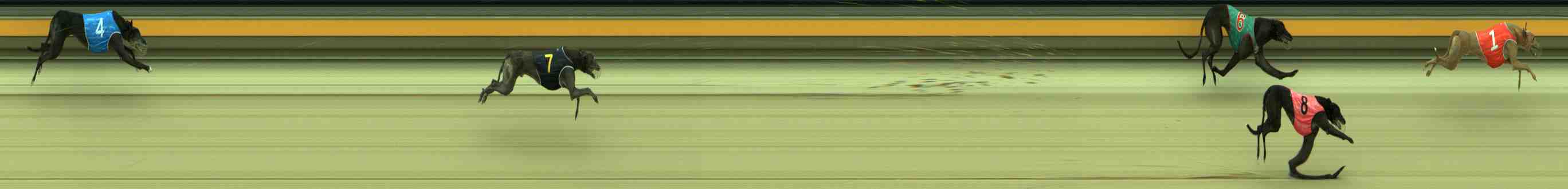 Photo finish for Sale Race 8