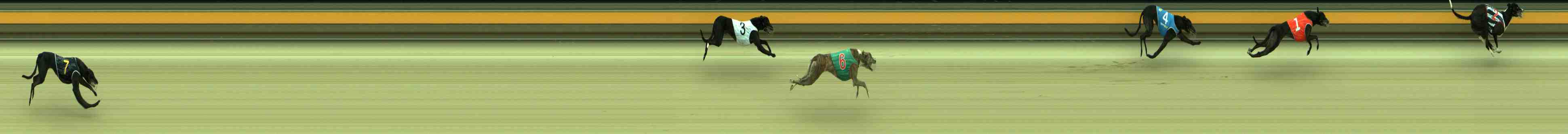 Photo finish for Sale Race 9