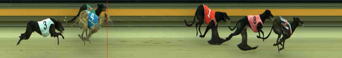 Photo finish for Sale Race 10