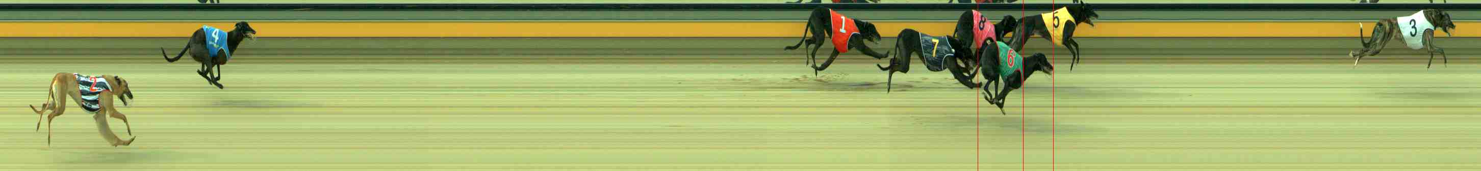 Photo finish for Sale Race 1