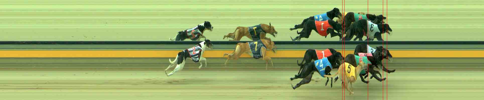Photo finish for Sale Race 2