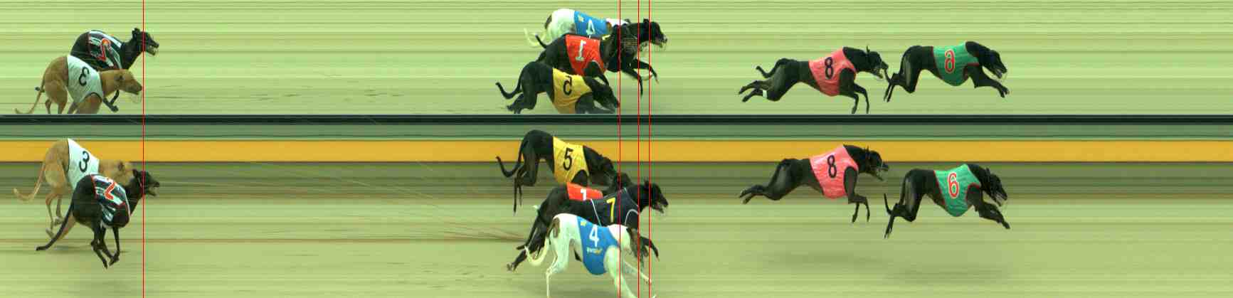 Photo finish for Sale Race 3
