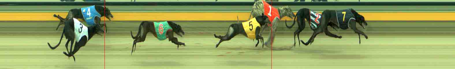 Photo finish for Sale Race 4