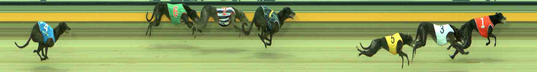 Photo finish for Sale Race 5