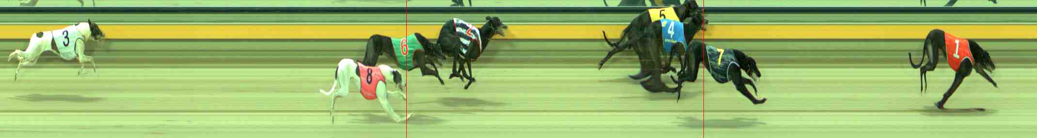 Photo finish for Sale Race 6