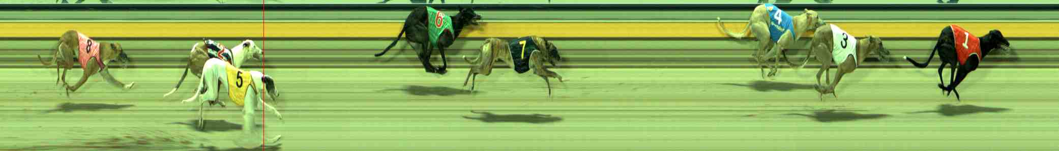 Photo finish for Sale Race 8