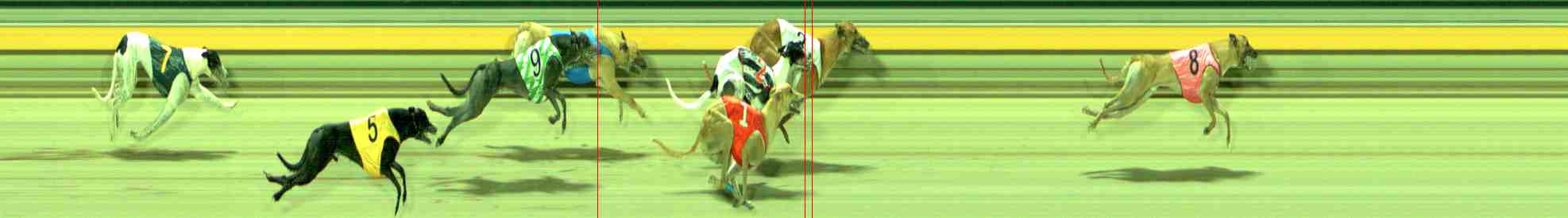 Photo finish for Sale Race 9