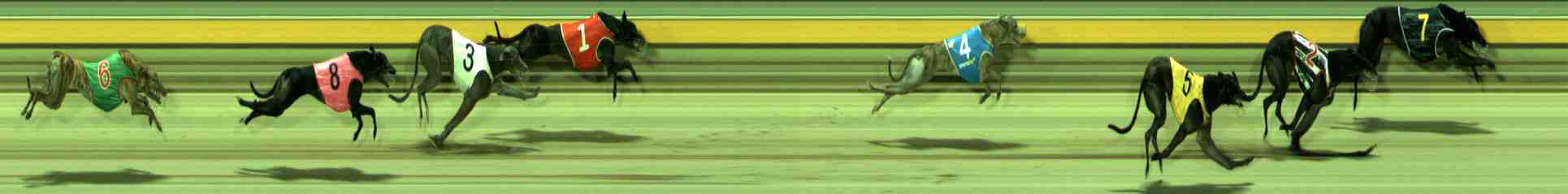 Photo finish for Sale Race 10